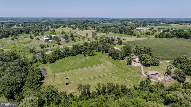 a view of a backyard with plants and large trees