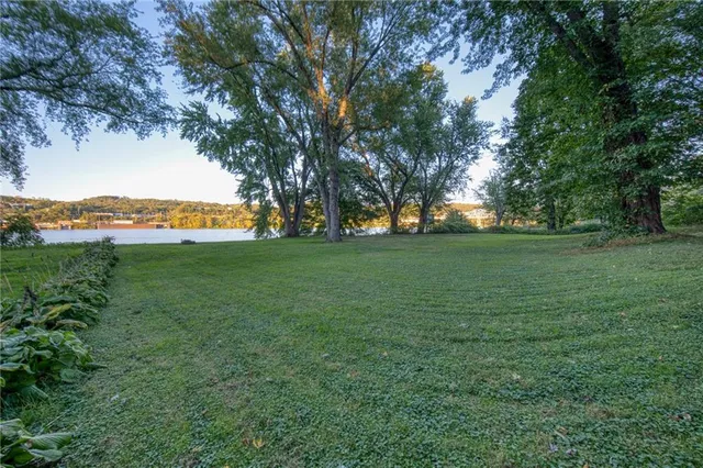 a view of a trees and yard