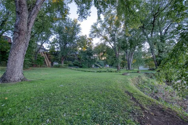 a view of a trees in a yard