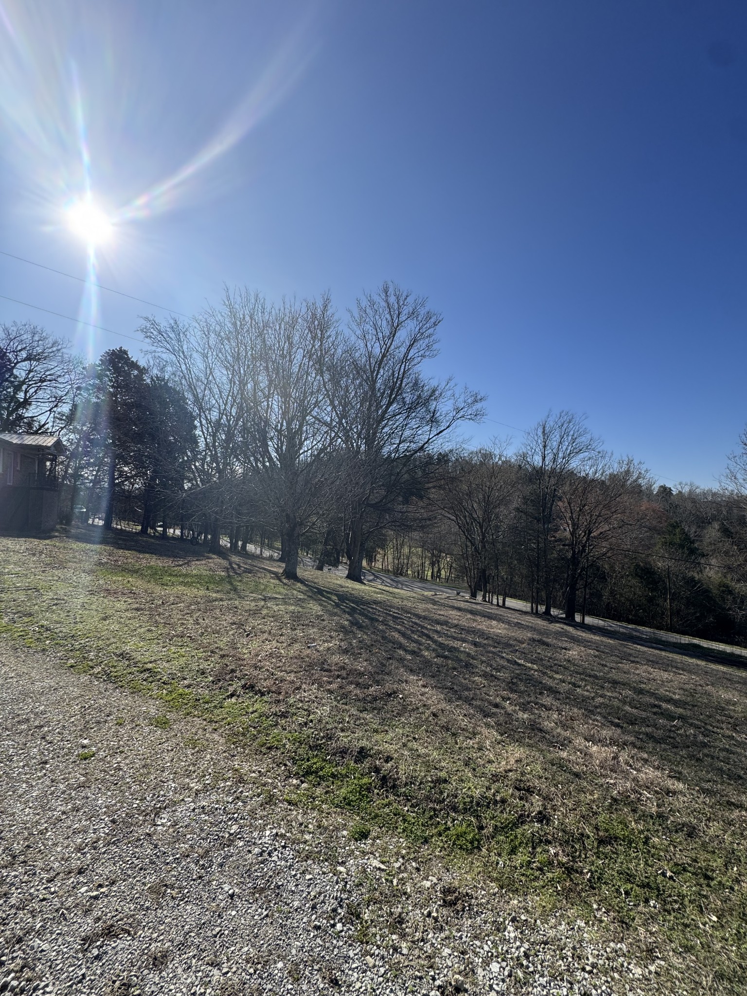 36 Hartsville Pike Carthage, TN 37030 - Photo 7 of 28 a view of dirt field with trees
