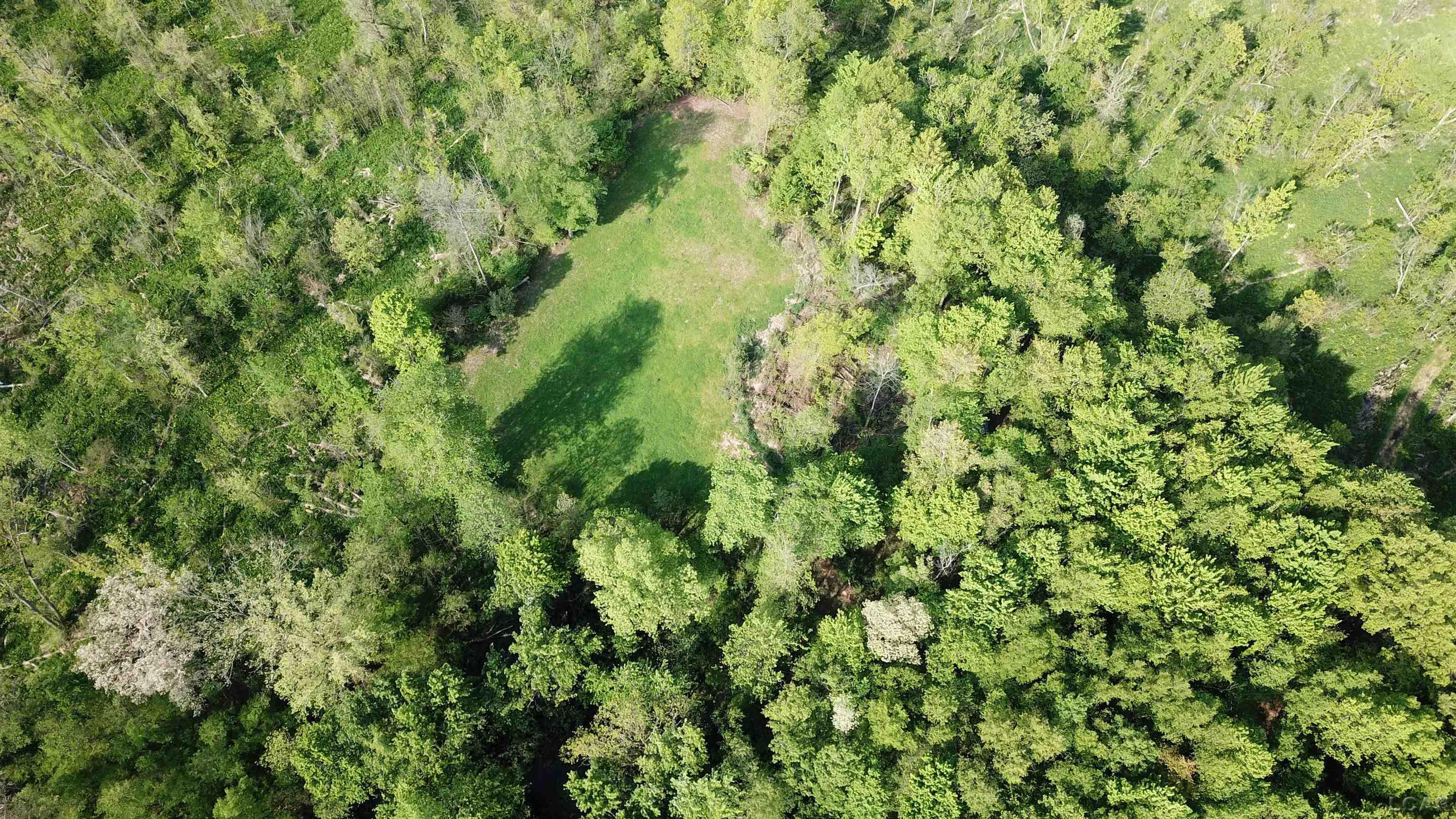 15252 27 Mile Road Albion, MI 49224 - Photo 45 of 57