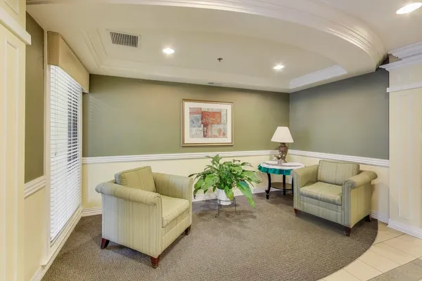 a living room with furniture and a potted plant
