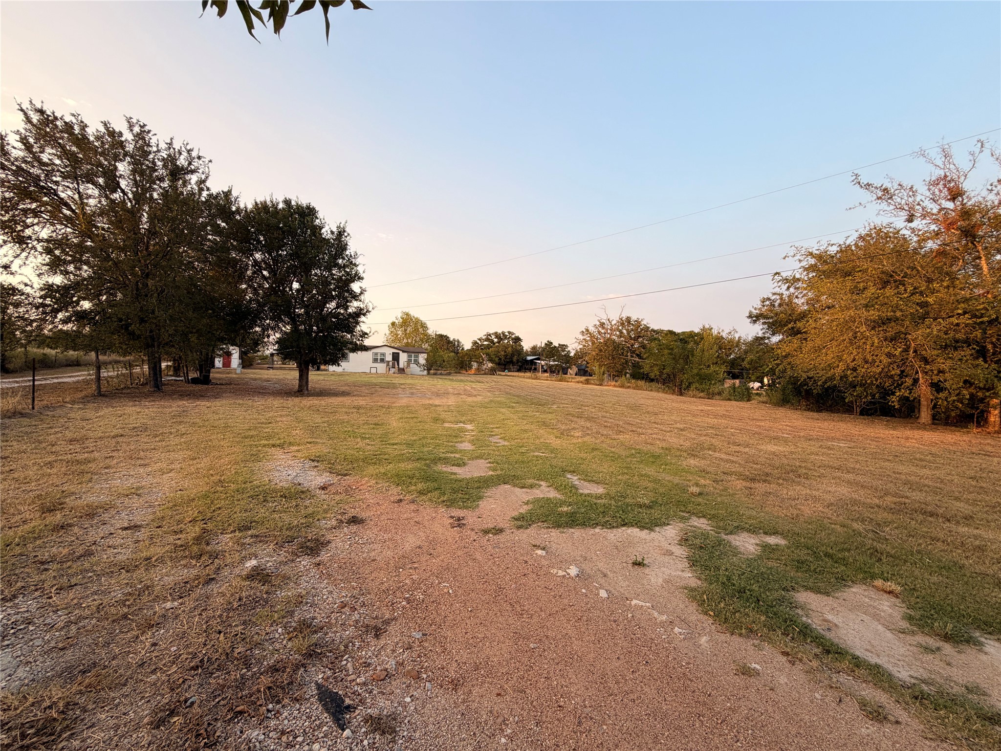 206 Shiloh Road Bastrop, TX 78602 - Photo 1 of 10 Mature trees frame a wide open grassy lot under a clear sky.