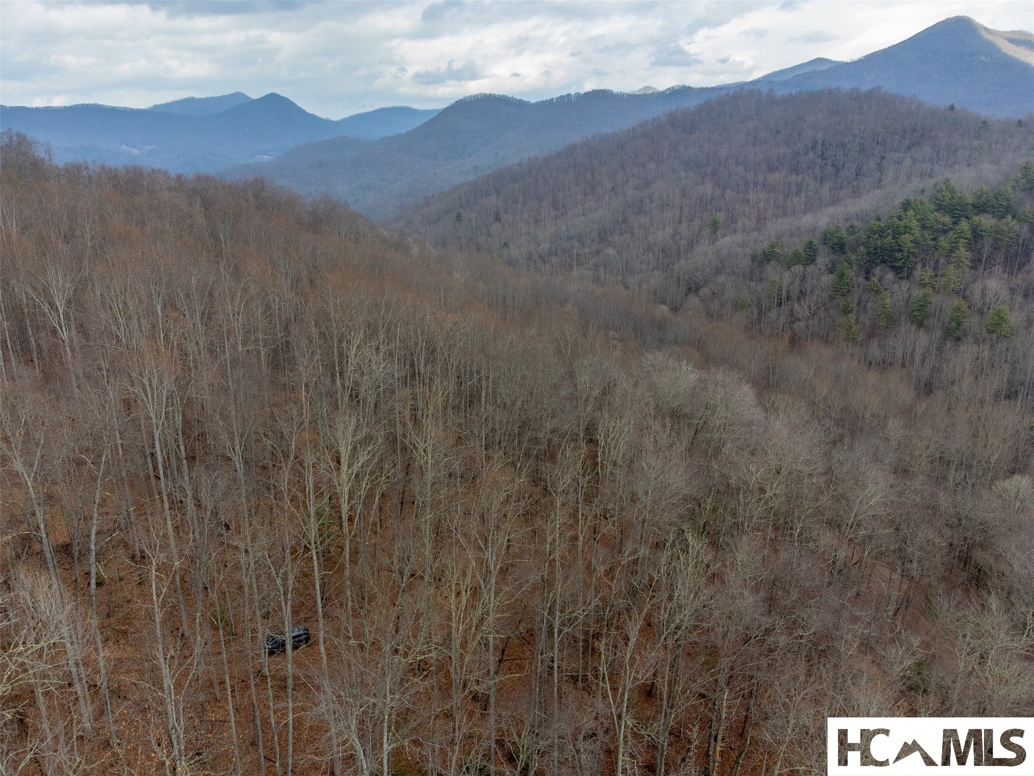 1241 Henry Road Franklin, NC 28734 - Photo 30 of 67 Gallery Image 30