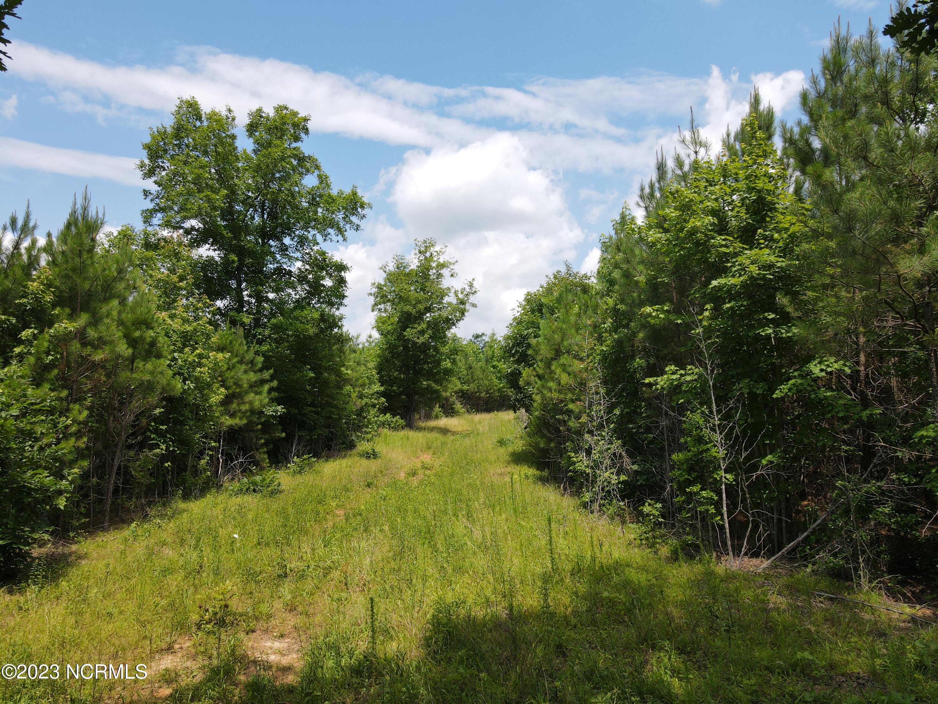 472 Eaton Ferry Road Littleton, NC 27850 - Photo 34 of 86 EFR 18
