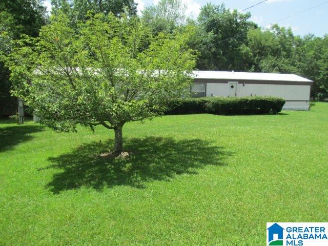 7610 Highway 11 Springville, AL 35146 - Photo 19 of 23