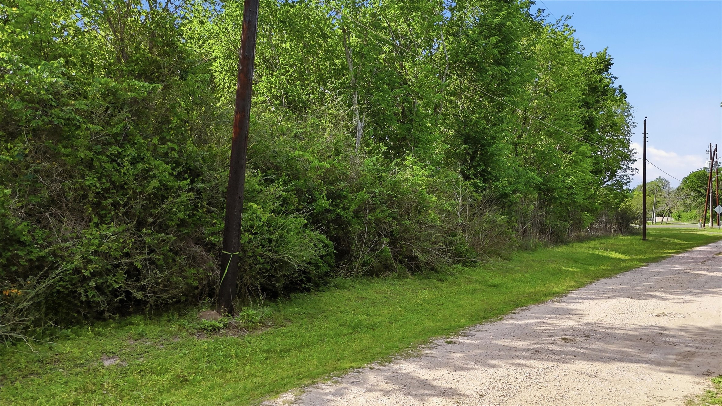 515 Off Spur Navasota, TX 77868 - Photo 3 of 13 a view of a yard with a trees