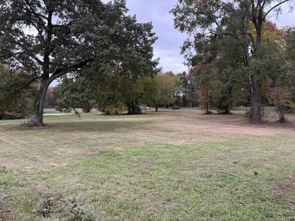 a view of dirt field with trees