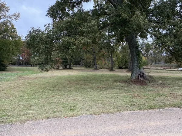 a view of a field with trees