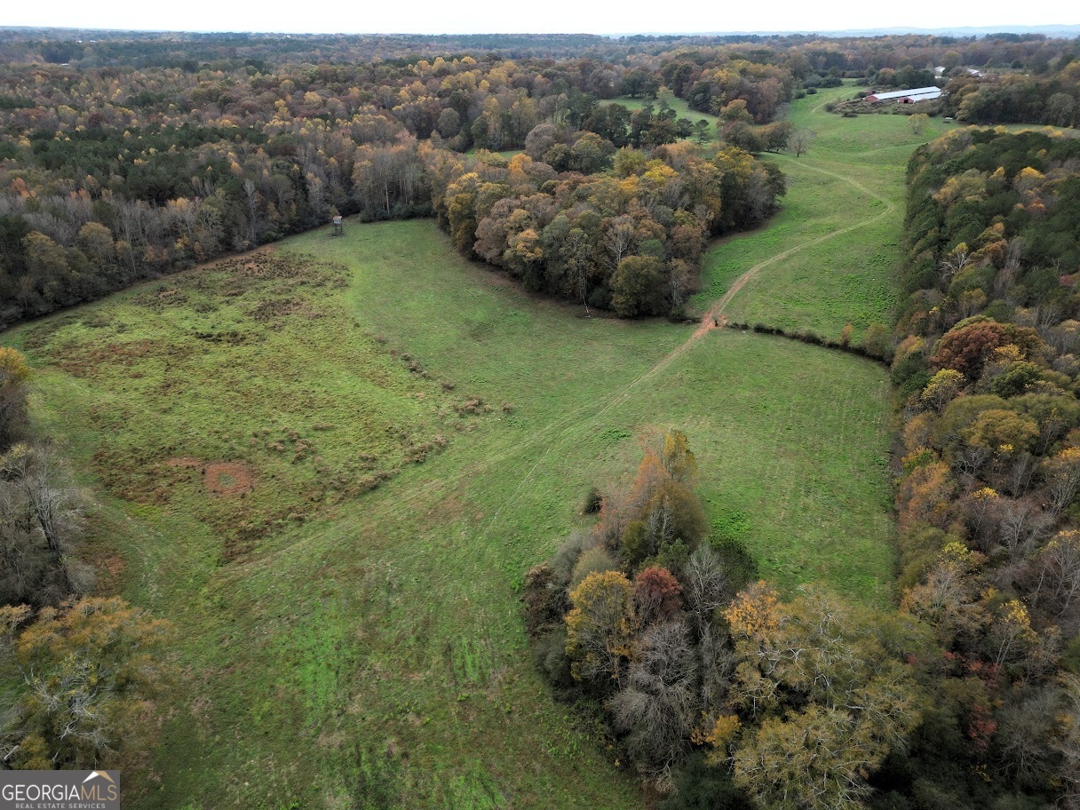 1254 Ayers Road Bowdon, GA 30108 - Photo 1 of 1 a view of a green field with lots of bushes