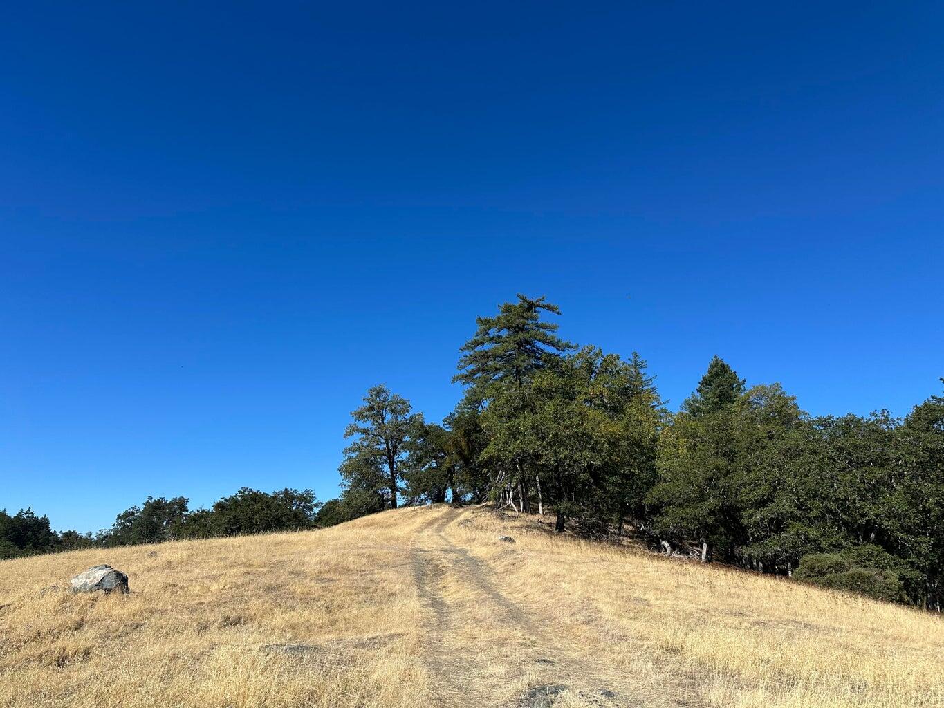 751 Lassic's Lookout Road Zenia, CA 95595 - Photo 19 of 29