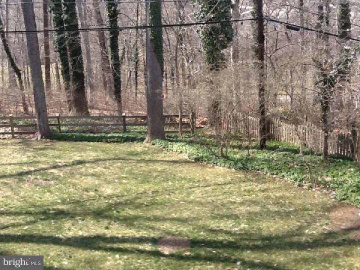 244 Friendship Road Drexel Hill, PA 19026 - Photo 19 of 25 Back Yard