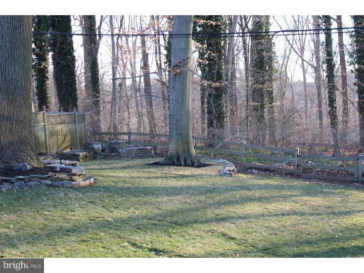 244 Friendship Road Drexel Hill, PA 19026 - Photo 3 of 25 View in Back
