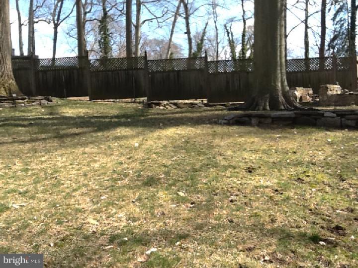 244 Friendship Road Drexel Hill, PA 19026 - Photo 23 of 25 Back Yard
