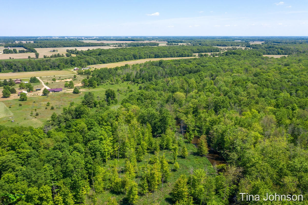 3626 Miner Road Crystal, MI 48818 - Photo 3 of 9 IMG_1002