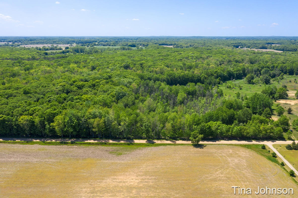 3626 Miner Road Crystal, MI 48818 - Photo 8 of 9 IMG_1007