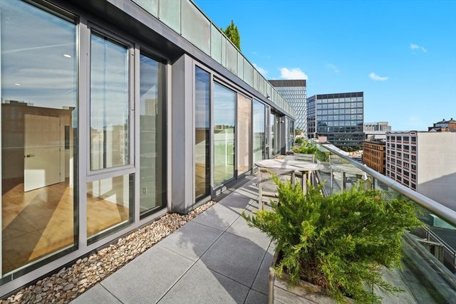 a room with window and a potted plant