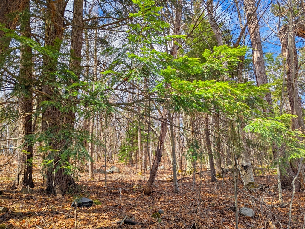 0 Johnson Road Becket, MA 01223 - Photo 13 of 20 a backyard of a house with lots of green space