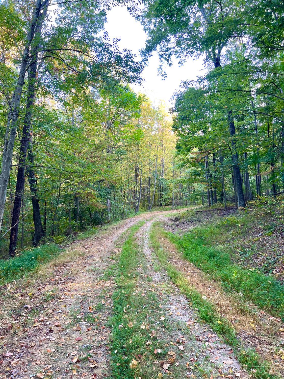 0 South Chenoweth Fork Road Piketon, OH 45661 - Photo 11 of 95