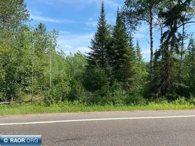 Tbd Town Line Road Hibbing, MN 55746 - Photo 1 of 1