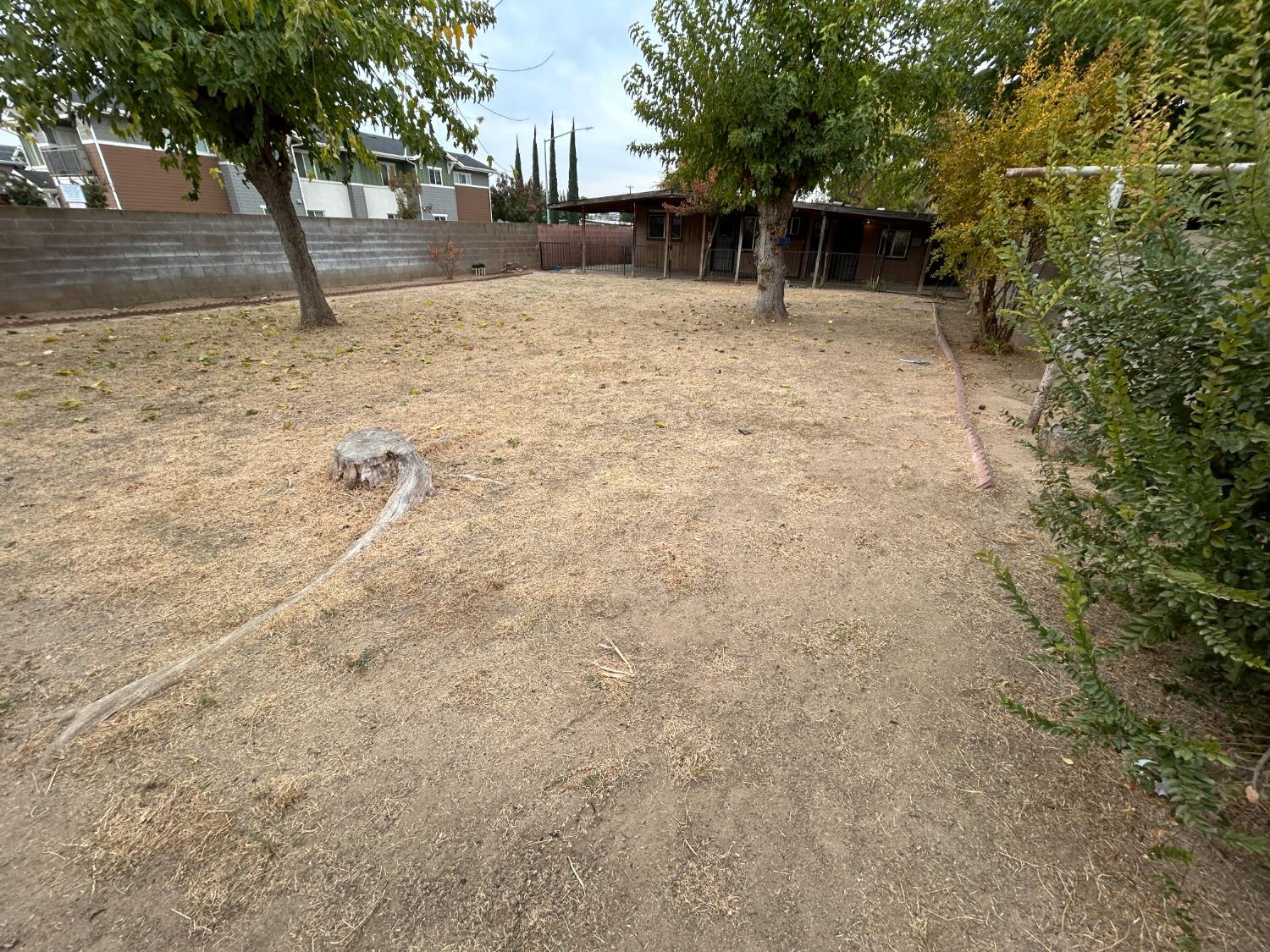 236 K Street Sanger, CA 93657 - Photo 20 of 23 a view of a yard with plants and trees