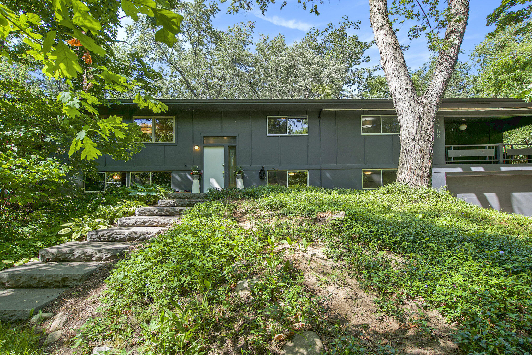 3786 Elizabeth Road Ann Arbor, MI 48103 - Photo 1 of 56 001_dsc03815_189