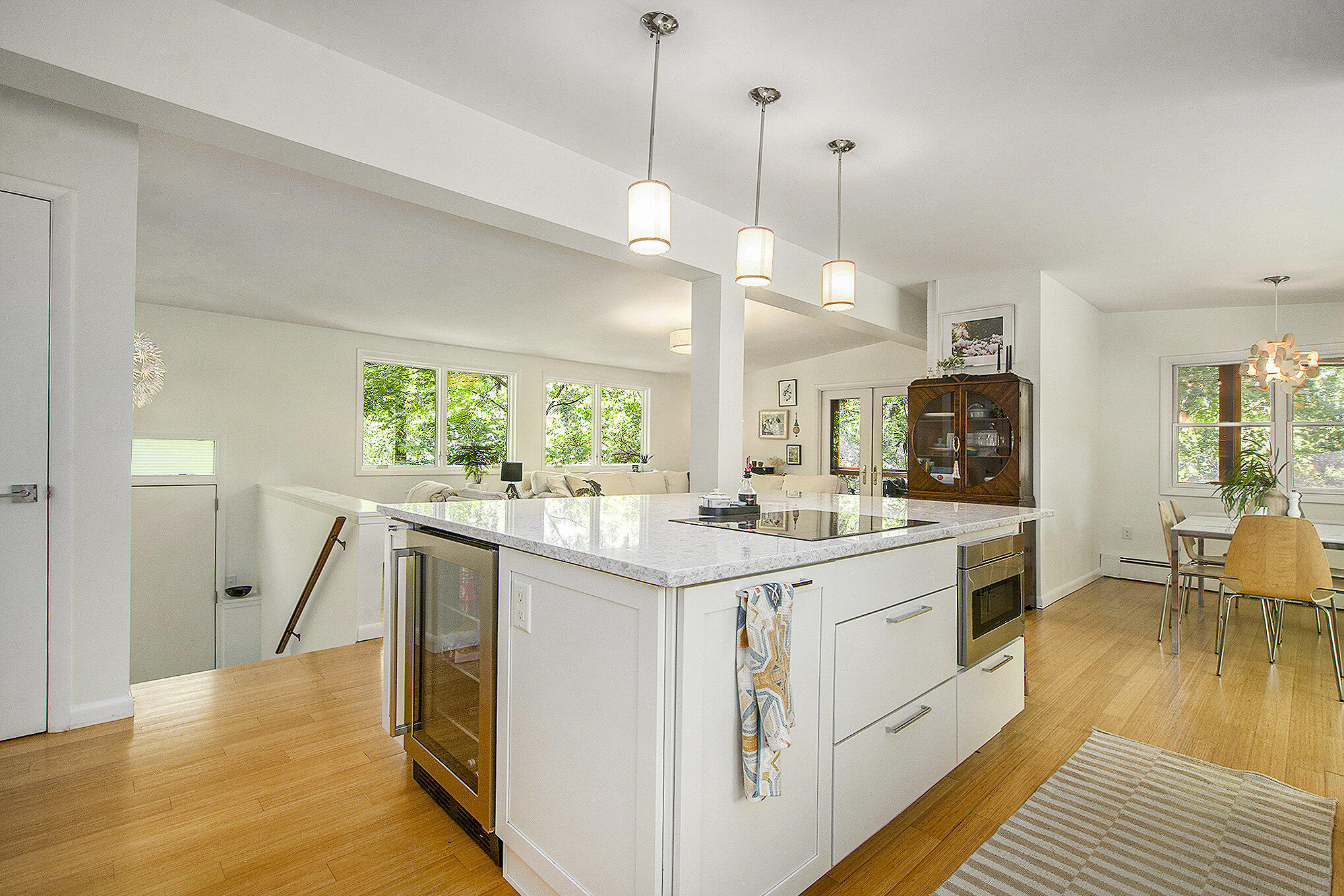 3786 Elizabeth Road Ann Arbor, MI 48103 - Photo 12 of 56 011_dsc03701_898