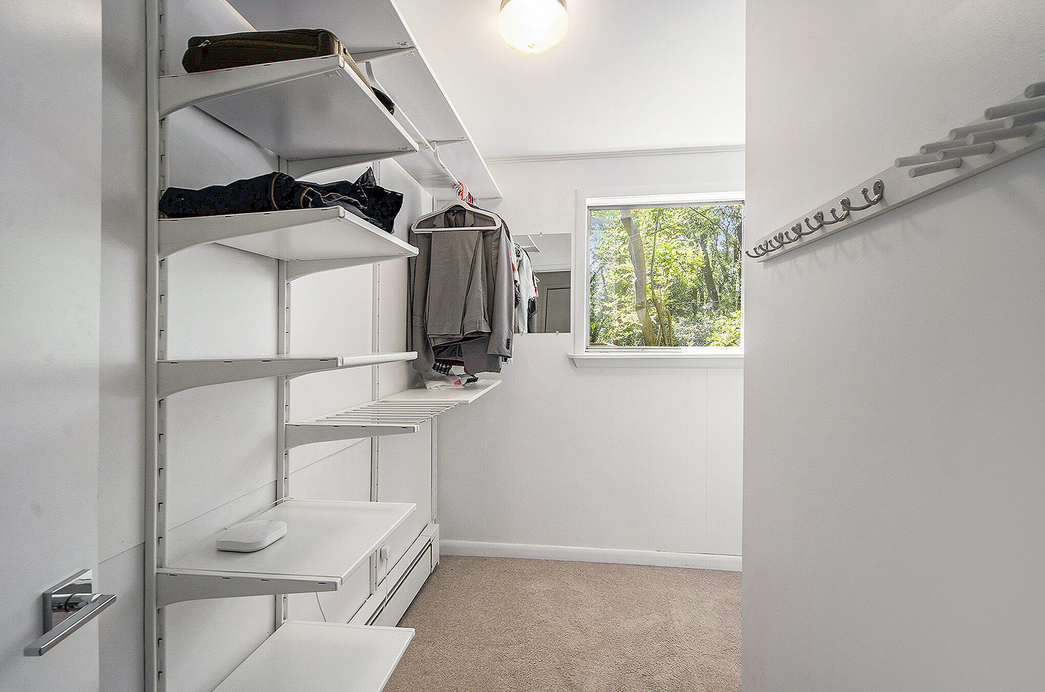 3786 Elizabeth Road Ann Arbor, MI 48103 - Photo 19 of 56 017_dsc03751_102