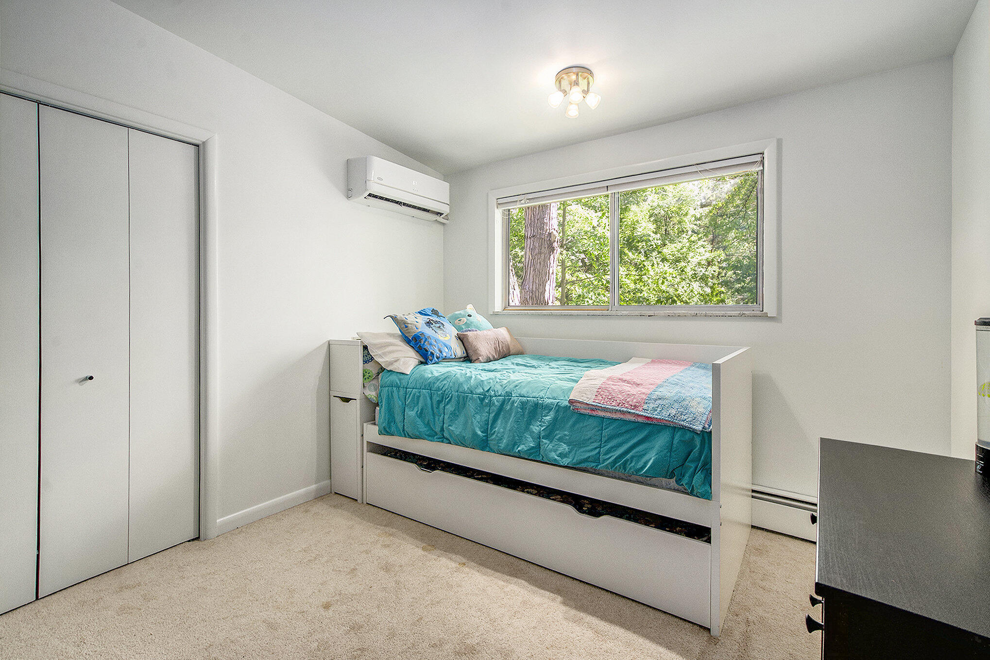 3786 Elizabeth Road Ann Arbor, MI 48103 - Photo 25 of 56 023_dsc03715_540