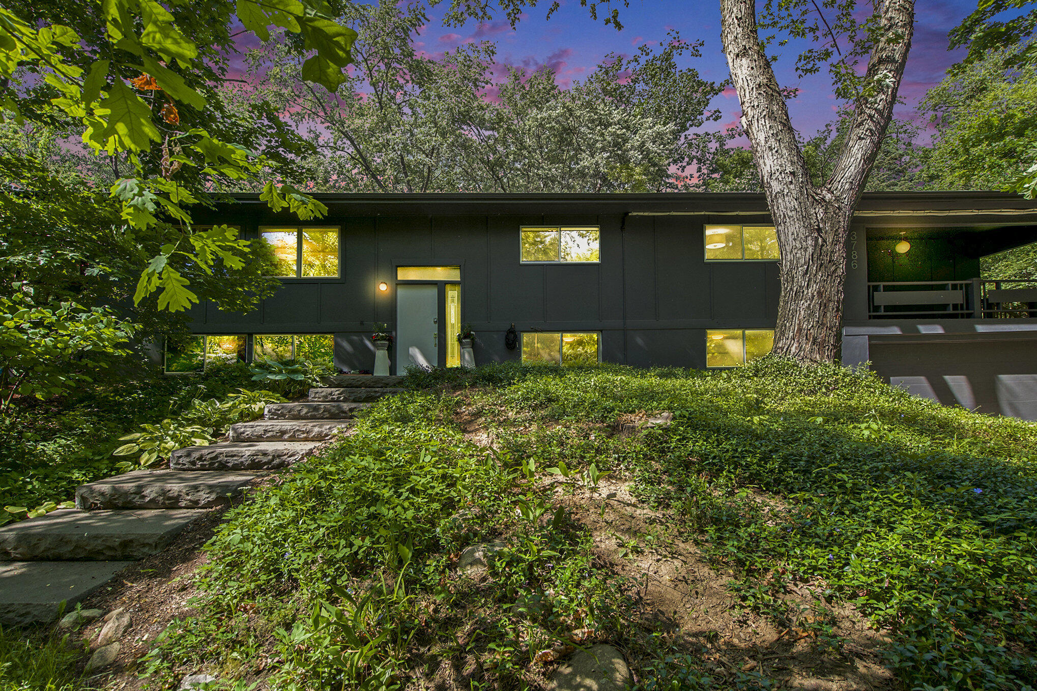 3786 Elizabeth Road Ann Arbor, MI 48103 - Photo 3 of 56 002_dsc03815-twilight_369