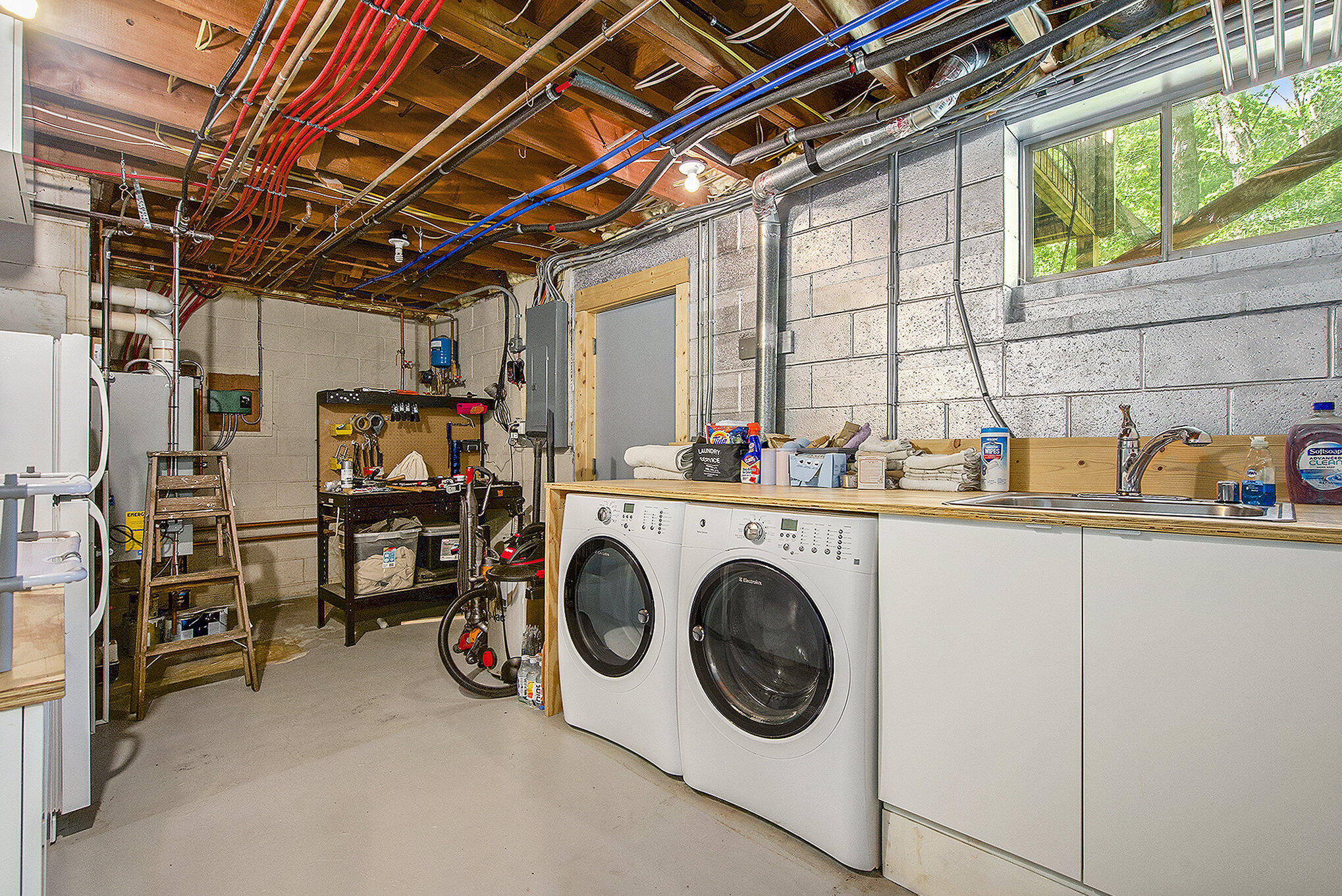 3786 Elizabeth Road Ann Arbor, MI 48103 - Photo 39 of 56 037_dsc03782_837