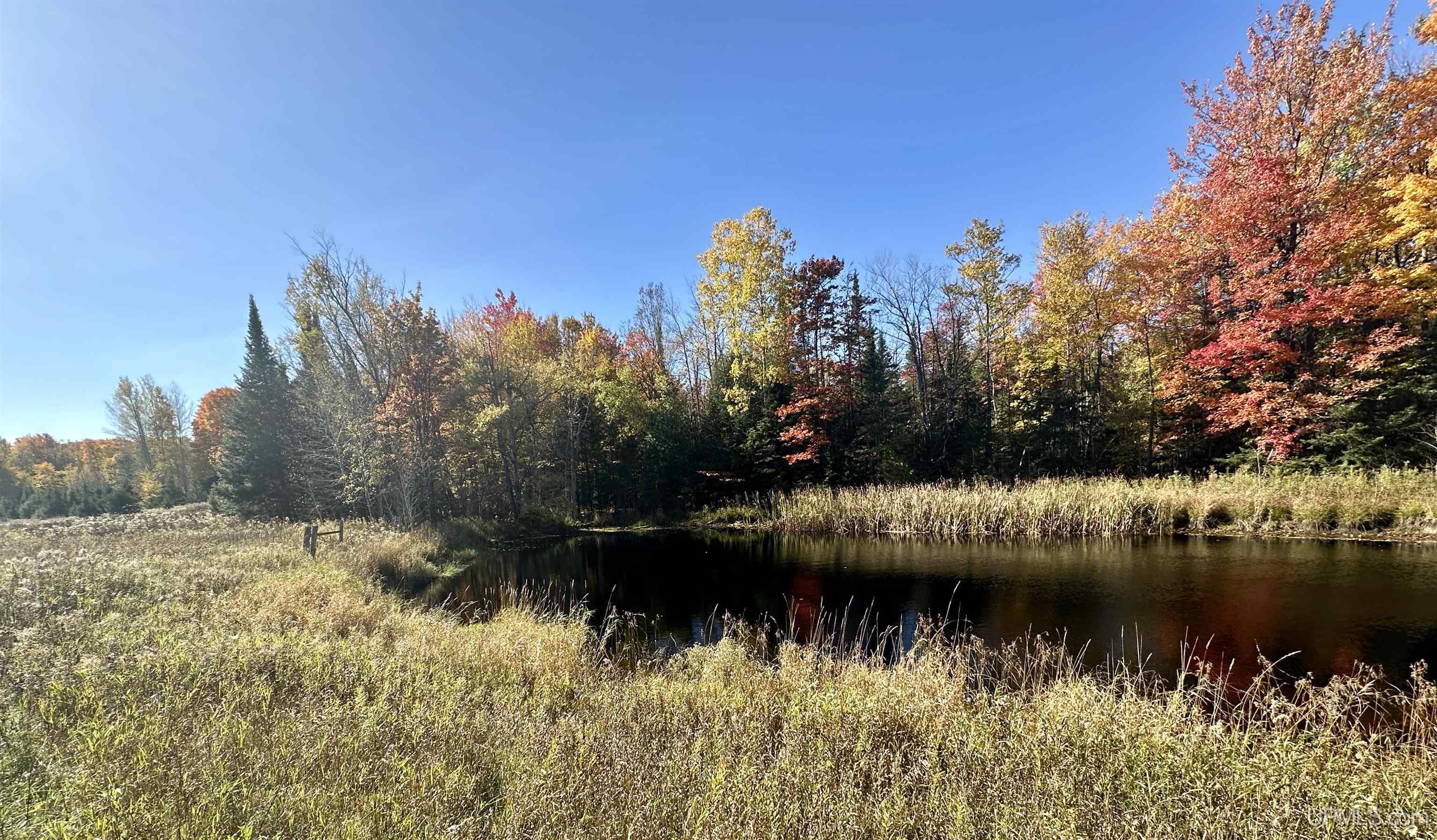 Tbd Tbd Tyner Road Chatham, MI 49816 - Photo 11 of 17