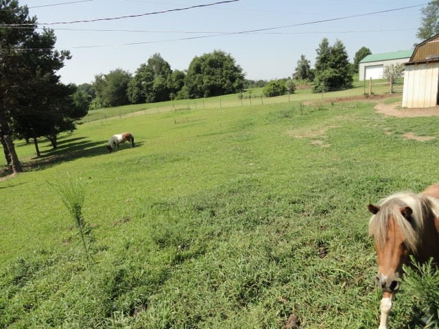 365 Bristletown Road Glasgow, KY 42141 - Photo 20 of 22 Gallery Image 20
