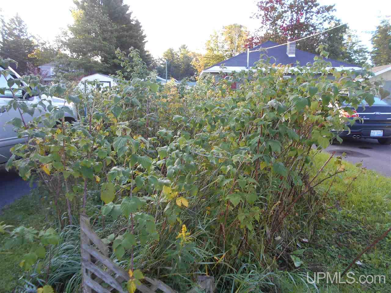 524 North 4th Street L'Anse, MI 49946 - Photo 15 of 25