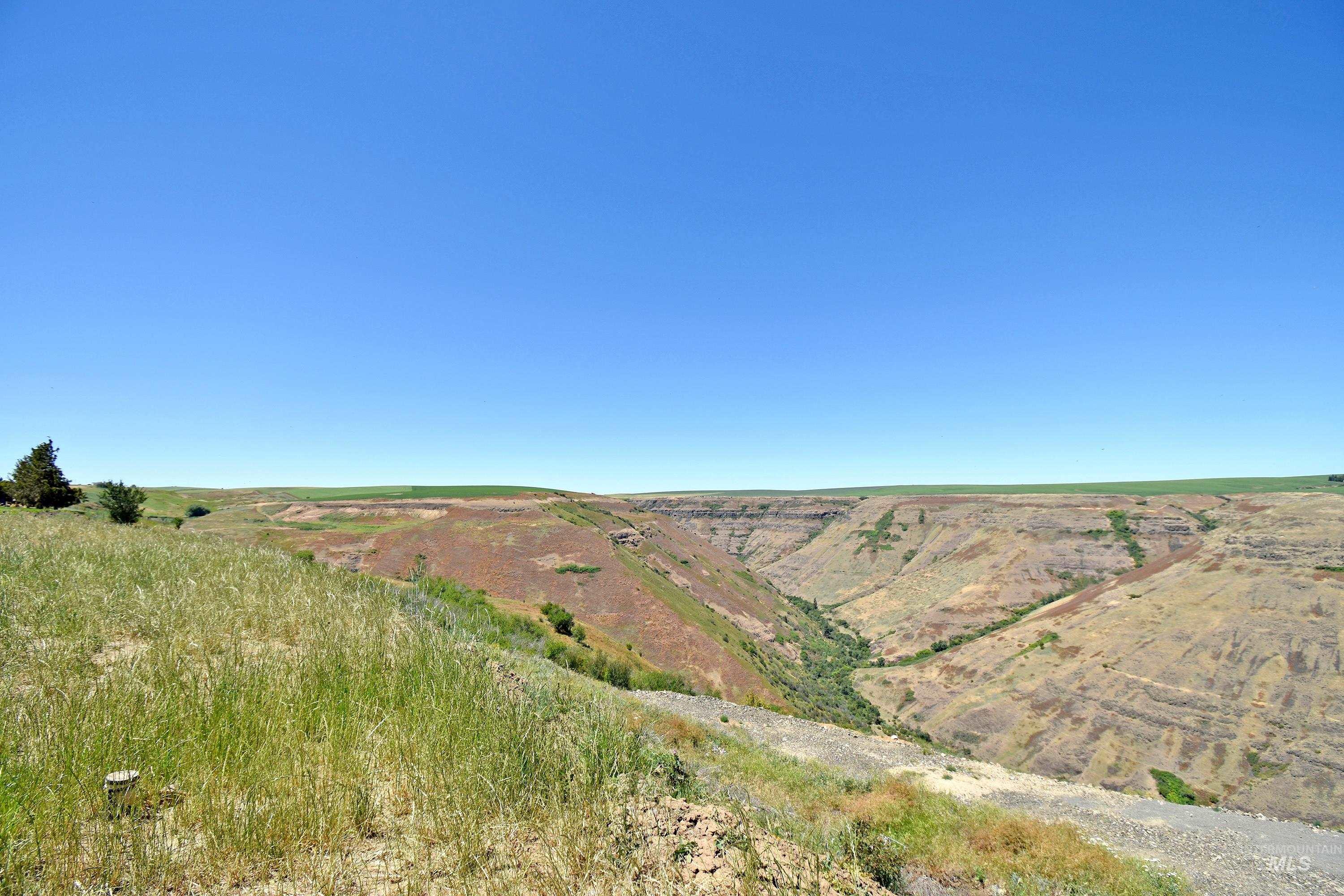 0 Spur Road Genesee, ID 83832 - Photo 18 of 21