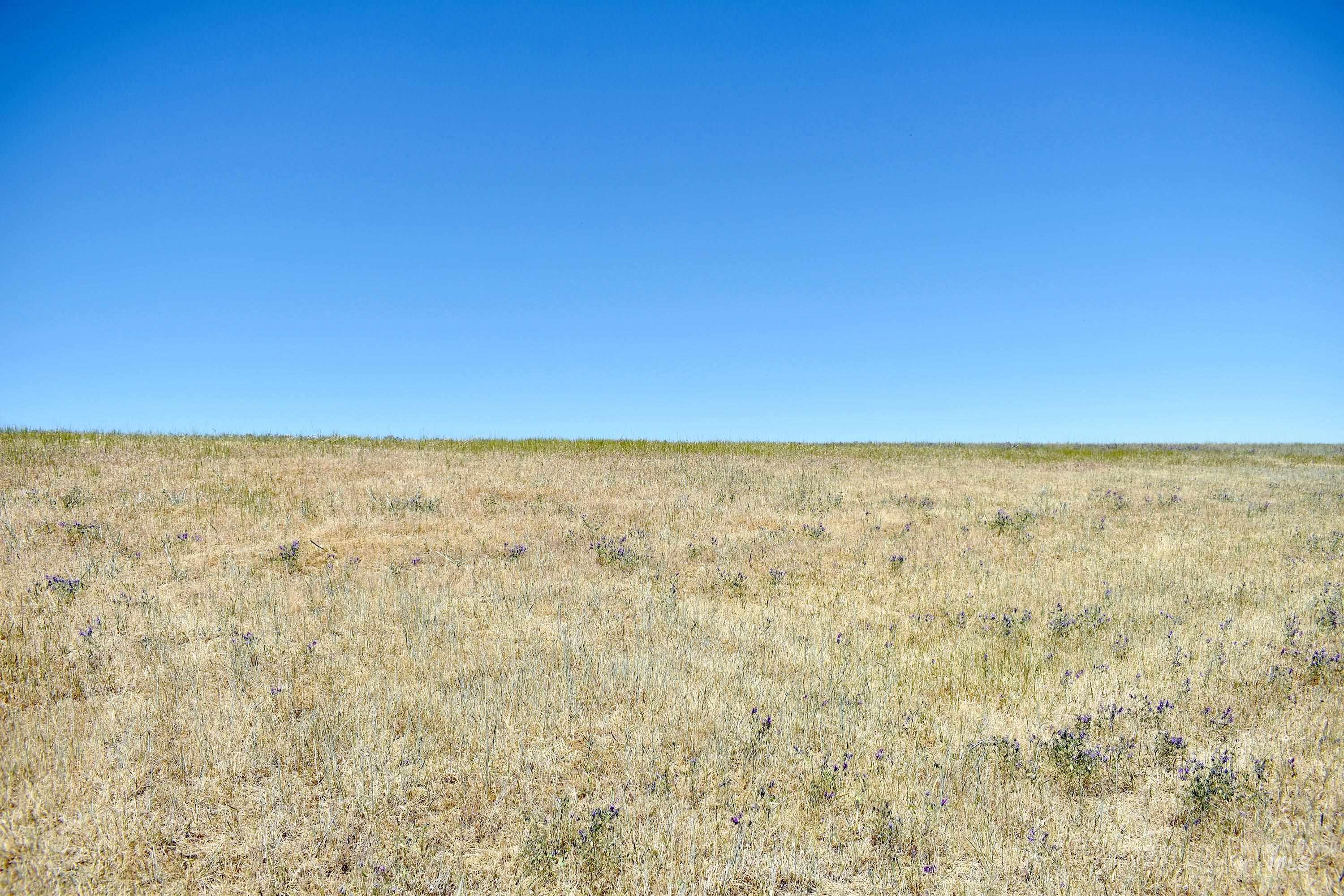 0 Spur Road Genesee, ID 83832 - Photo 19 of 21