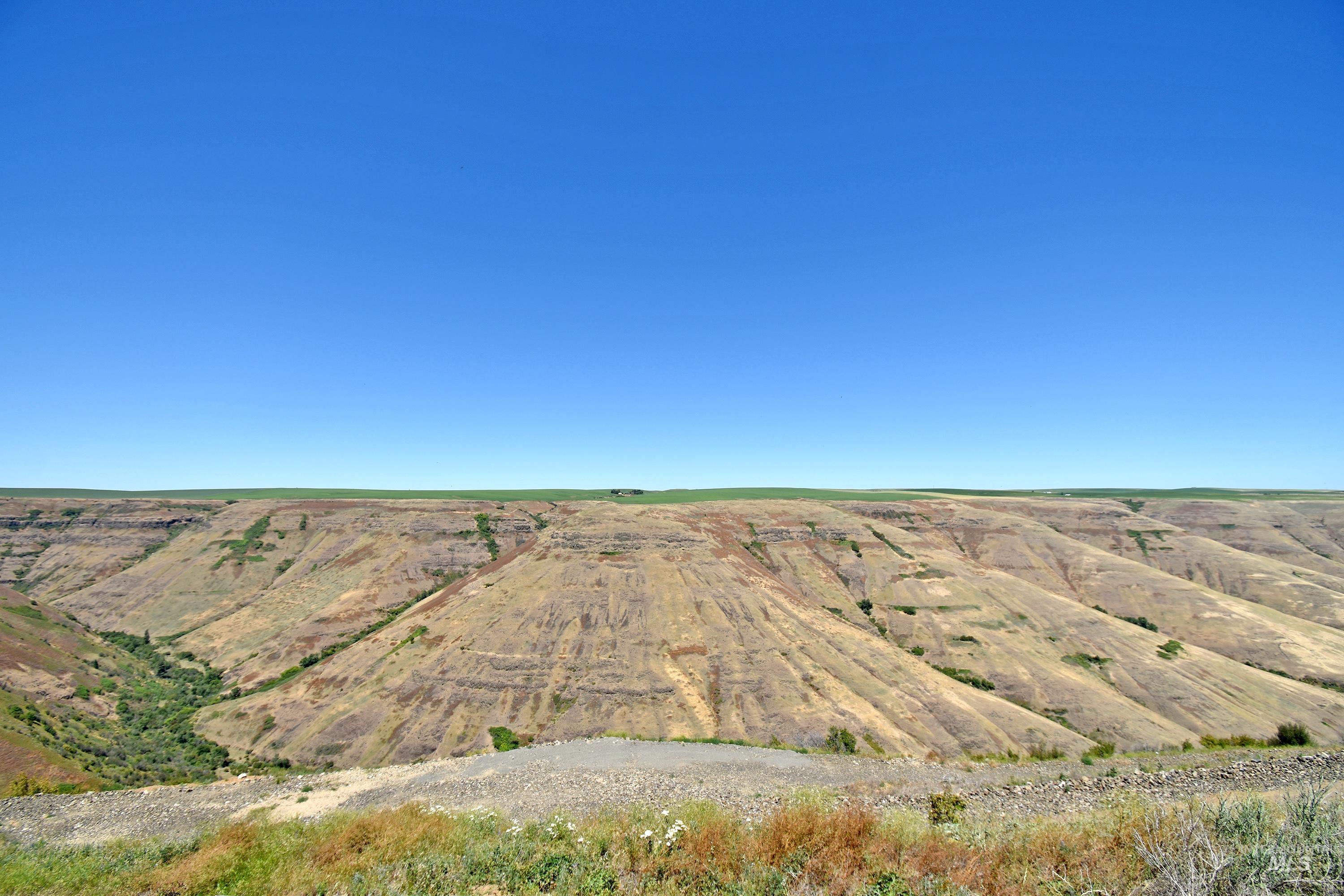 0 Spur Road Genesee, ID 83832 - Photo 5 of 21