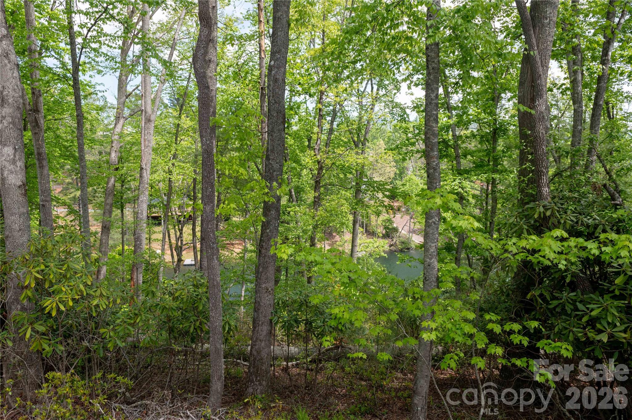 0 Deer Park Lake Road Spruce Pine, NC 28777 - Photo 11 of 24 a view of forest