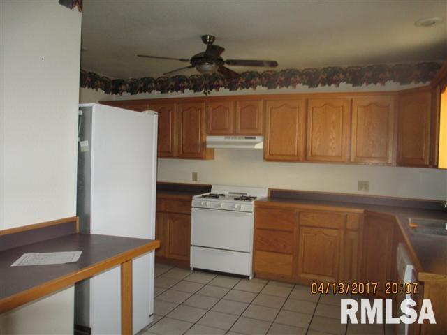 202 West Chestnut Street Canton, IL 61520 - Photo 4 of 8 Gallery Image 4