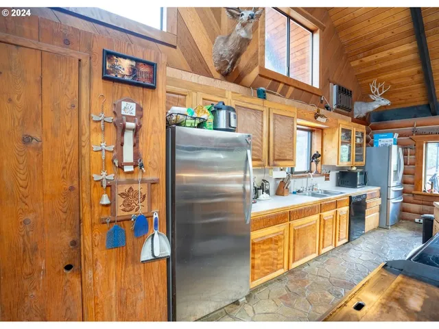 a view of a dry yard with trees