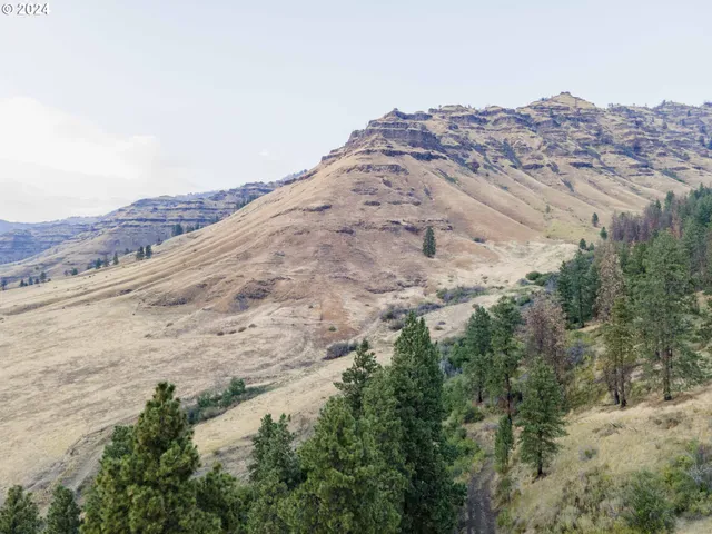 a view of a swimming pool and a yard