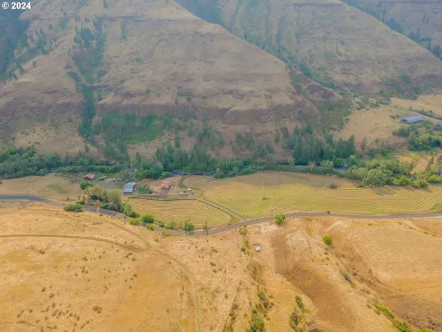 a view of a swimming pool with plants and trees around