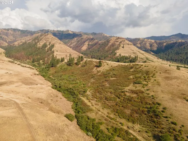 a view of a pathway both side of yard