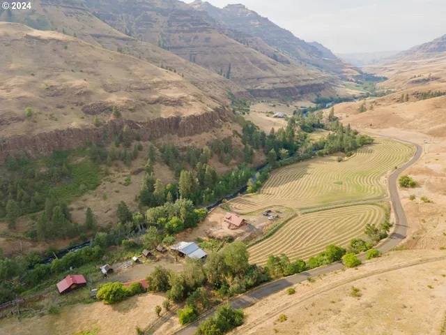 a view of a dry yard