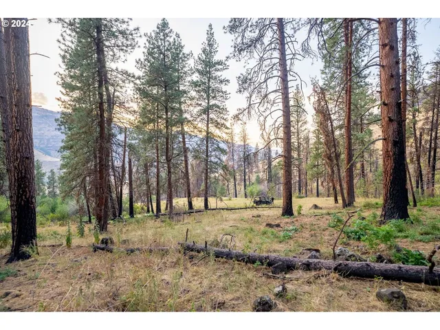 a view of lake with lots of bushes