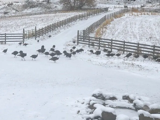 $1,995,000 | 66056 Upper Imnaha Road, Imnaha, OR 97842