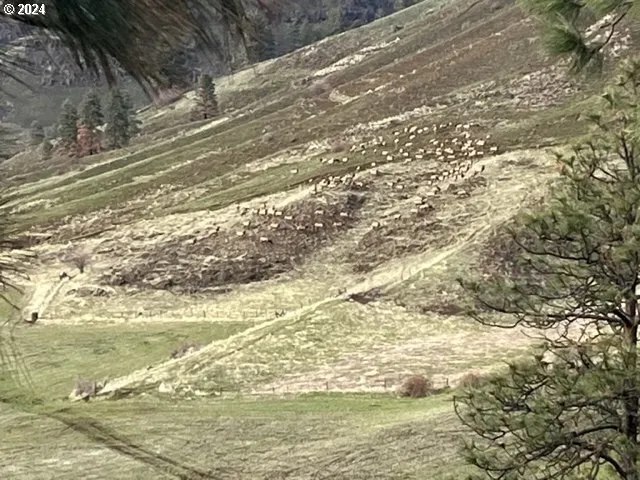 $1,995,000 | 66056 Upper Imnaha Road, Imnaha, OR 97842