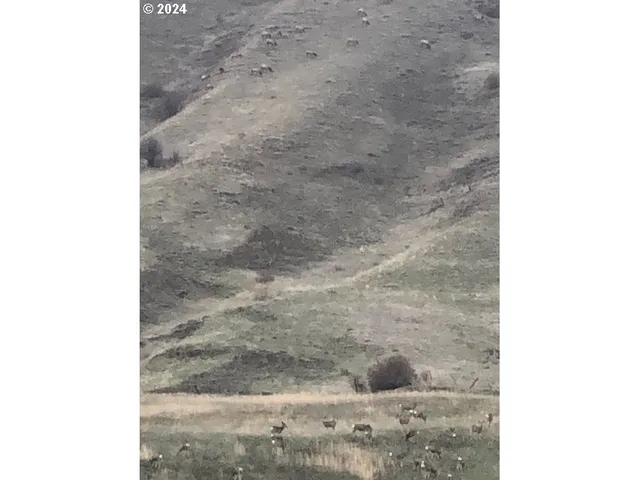 $1,995,000 | 66056 Upper Imnaha Road, Imnaha, OR 97842