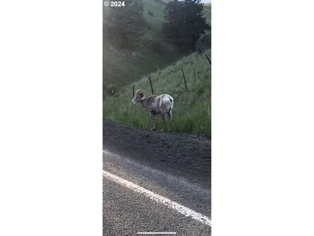 $1,995,000 | 66056 Upper Imnaha Road, Imnaha, OR 97842