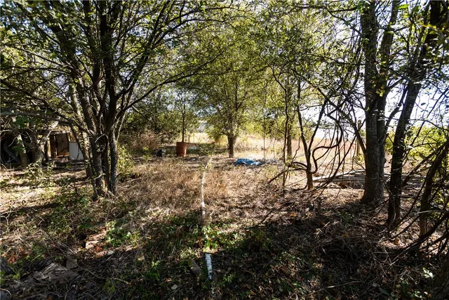 a view of a backyard